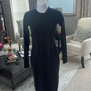 Skims fits everybody dress